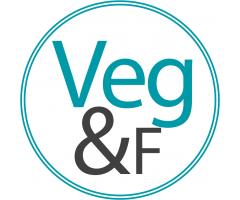 VegandFriends - Tienda Bio Vegan-friendly