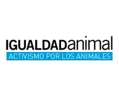 Fundación Igualdad Animal